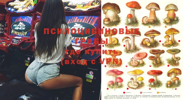 PSILOCYBIN Арсеньев